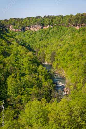 The Rapids and Cliffs at Little River Canyon National Preserve