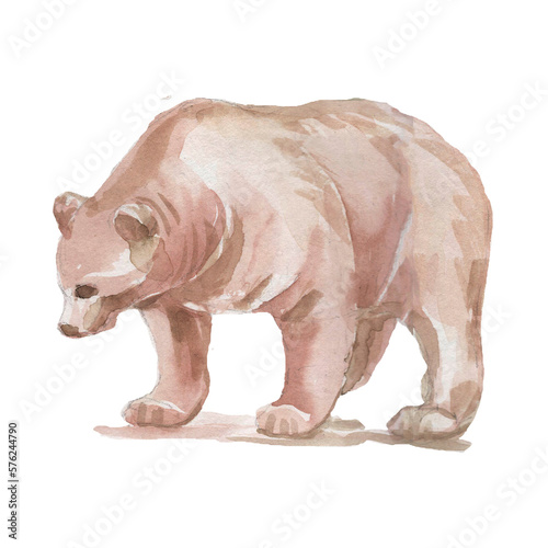 Animals forest bear wolf fox owl birds elk bison trees oak pine spruce mushrooms fauna flora plants watercolor illustration hand drawn set large on white background nature wild Europe Asia