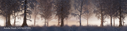 Wallpaper Mural Snow covered Trees create Atmospheric Winter Woodland Banner. Seasonal Concept. Torontodigital.ca