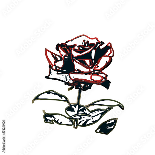 color sketch of a rose with transparent background