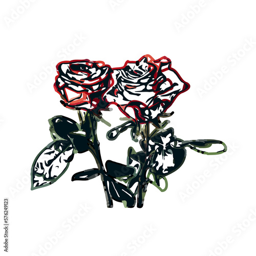 color sketch of a rose with transparent background