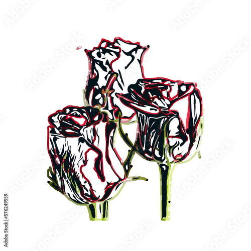 color sketch of a rose with transparent background