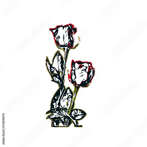 color sketch of a rose with transparent background
