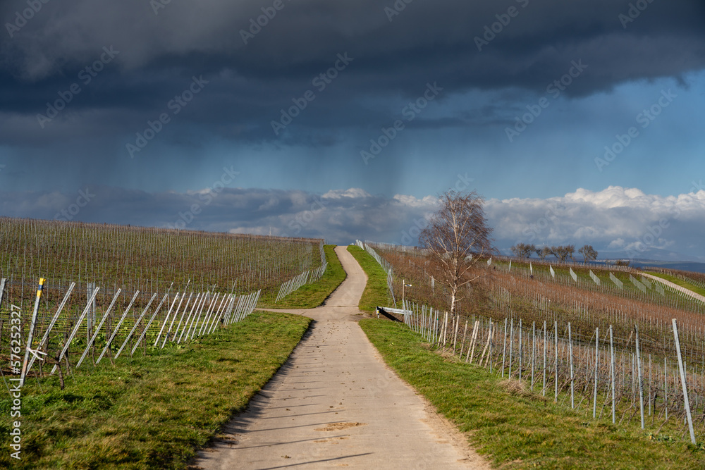 Rheinterrassenweg Blickrichtung Norden Rheinterrassenweg Blickrichtung Norden