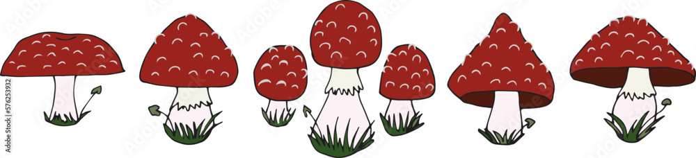 Fly agaric mushrooms. Set. Poison mushrooms. Vector illustration, doodle. Isolated background. Fly agaric mushrooms. Set. Poison mushrooms. Vector illustration, doodle. Isolated background.