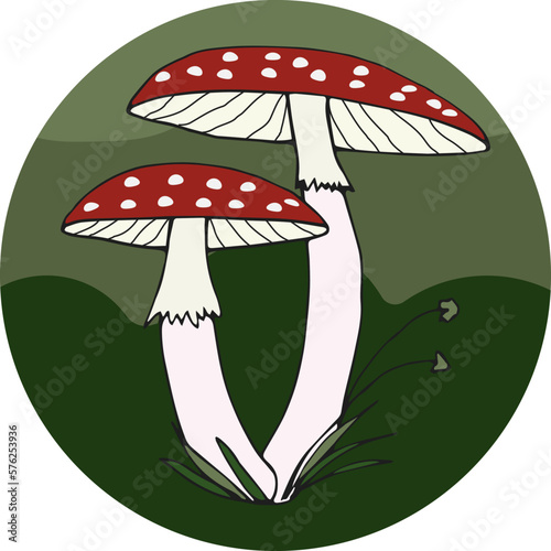 Fly agaric mushroom in a green circle. Poison mushroom icon.