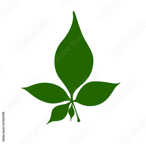 Green five leaf Belpatra vector icon. Shiv patra symbol.