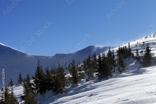 Winter mountains at sun windy day. Ukraine, Carpathian Mountains.