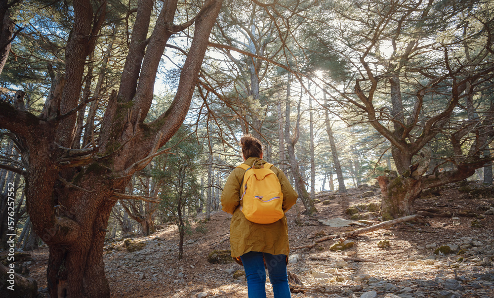 caucasian woman enjoys being in nature, beautiful forest in mountains. embracing fresh air and engaging in outdoor activities. Friluftsliv concept means spending as much time outdoors as possible caucasian woman enjoys being in nature, beautiful forest in mountains. embracing fresh air and engaging in outdoor activities. Friluftsliv concept means spending as much time outdoors as possible