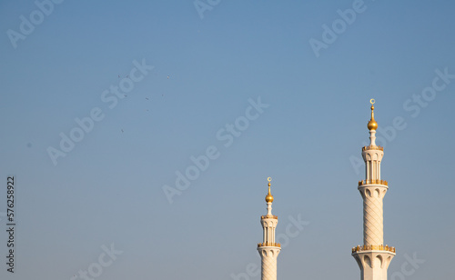 detail of Sheikh Zayed Grand Mosque in Abu Dhabi United Arab Emirates