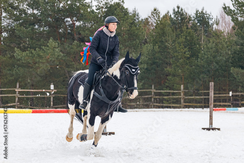 A rider on a horse jumps over the barrier in the arena in winter. A girl in black clothes sits on a gelding. Background of spruce trees for the inscription