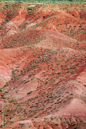 The Red Painted Hills of Petrified Forest National Park
