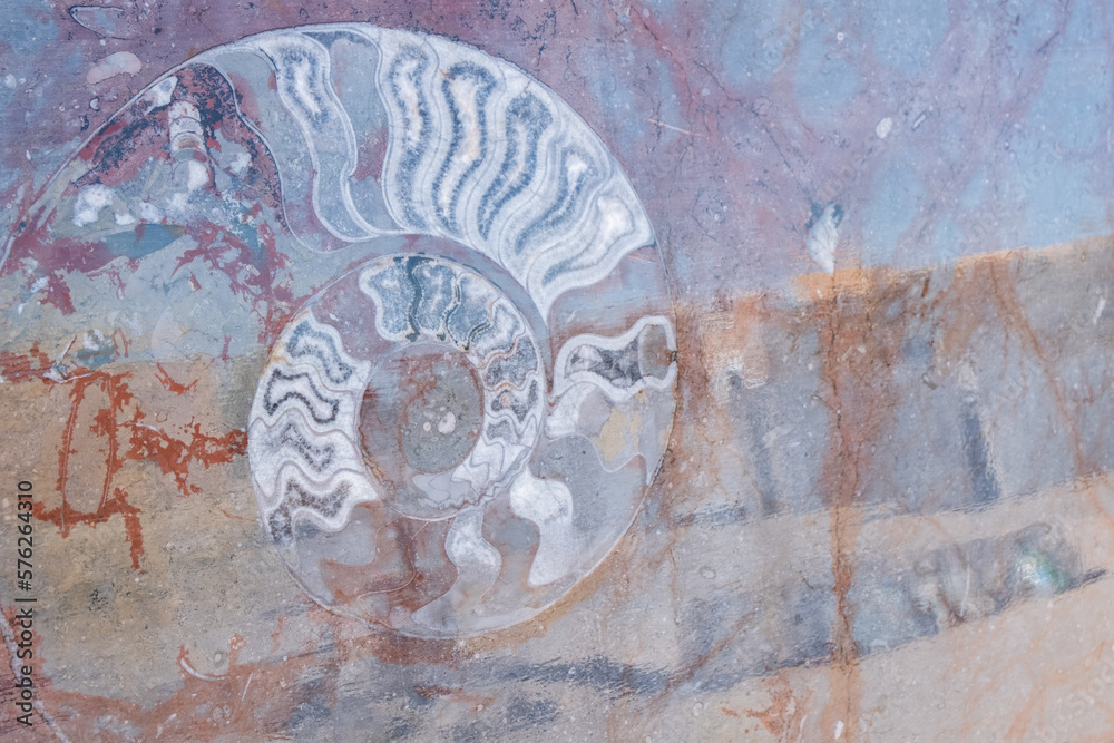 Fish and shellfish fossils recovered from Morocco's Atlas Mountains show that the desert was a sea Fish and shellfish fossils recovered from Morocco's Atlas Mountains show that the desert was a sea