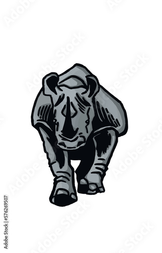 Vector color  illustration of rhino isolated on white background  grey rhinoceros 