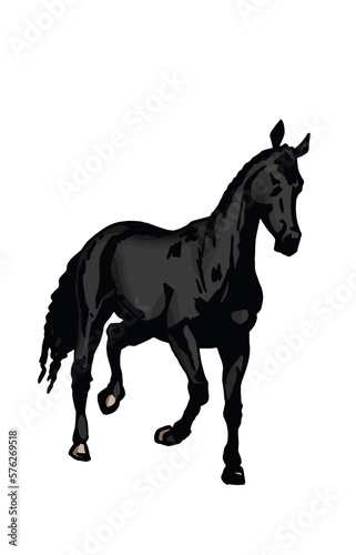 Vector hand-drawn color horse running isolated on white background graphical illustration