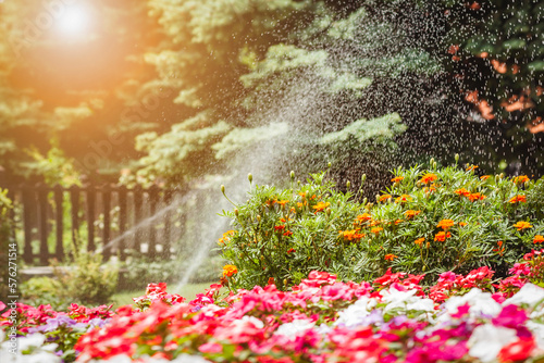 Foto Watering or Sprinkling Flowers Blossom and Grass Lawn in Garden by Sprinkler