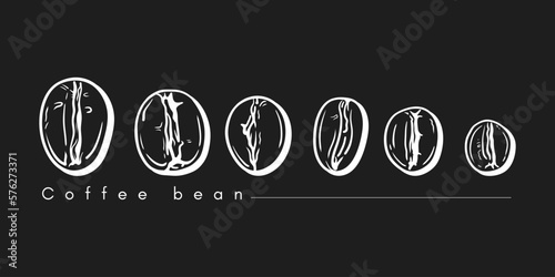 Bunch of coffee beans lined up horizontally isolated on black background