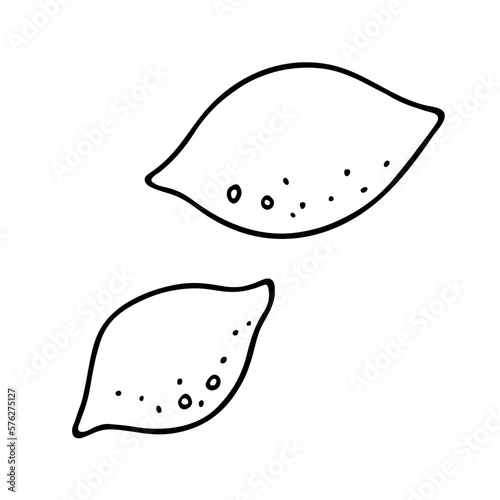 Lemon doodle, cooking nutrient. Hand-drawn acidic food, proper eating, healthy diet. Sketch, minimalism, line art. Isolated. Vector illustration