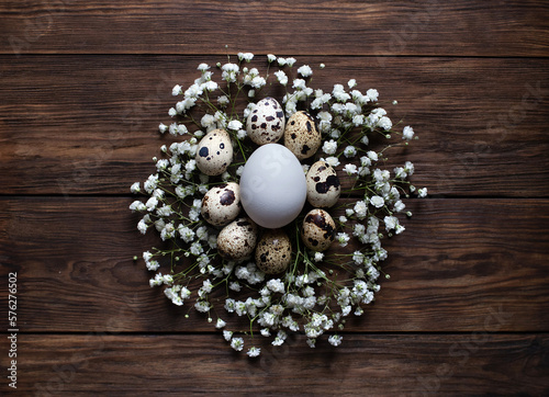 White egg surrounded with quial eggs in nest of gypsophila flowers photo