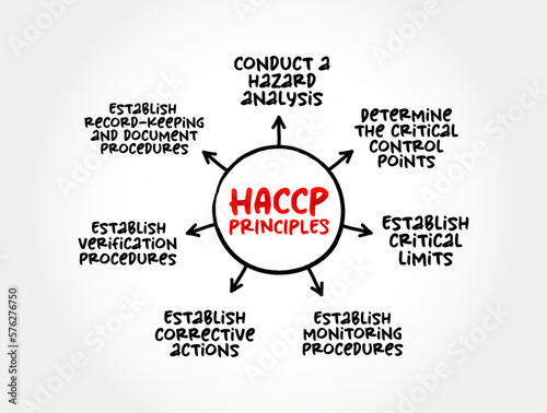 HACCP PRINCIPLES, identification, evaluation, and control of food safety hazards based on the following seven principles, mind map concept for presentations and reports