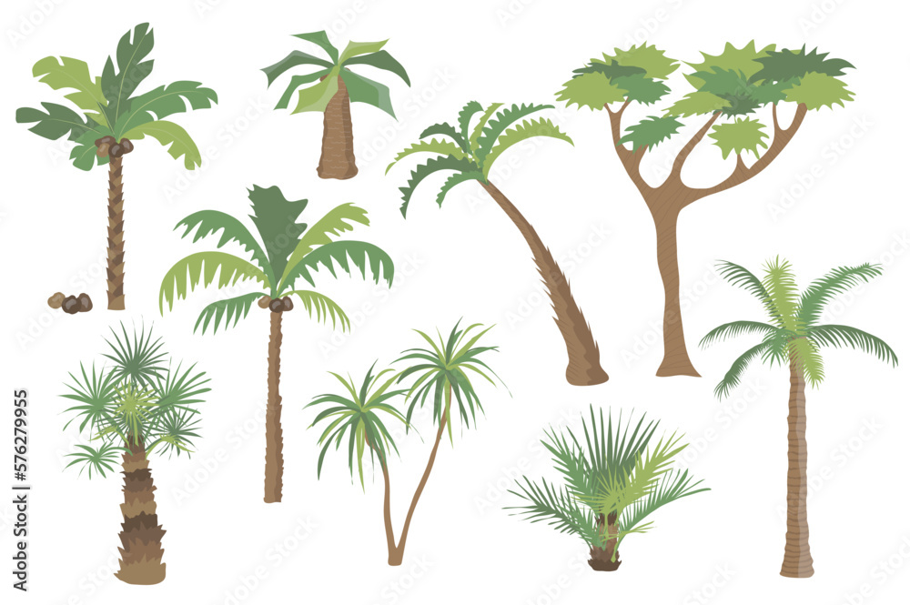palm-trees-set-graphic-elements-in-flat-design-bundle-of-different