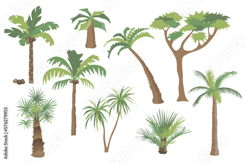 Palm trees set graphic elements in flat design. Bundle of different types of palm trees with coconuts and bushes with green crown of leaves  trunks and branches. Vector illustration isolated objects