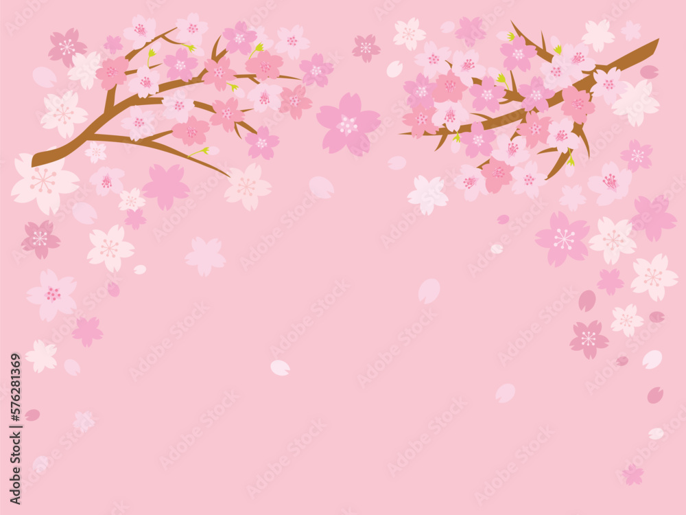 ピンクの桜の背景イラスト