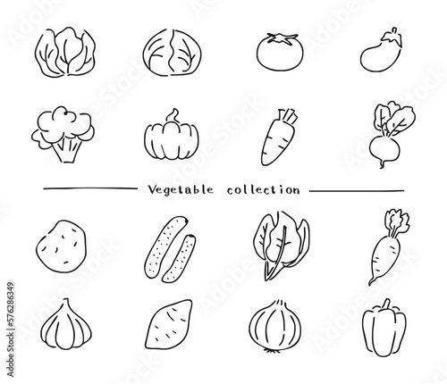 Foto 野菜のイラストセット　線画　モノクロ