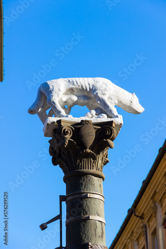 Sienese She-Wolf in Via Pantaneto in Siena, Italy photo