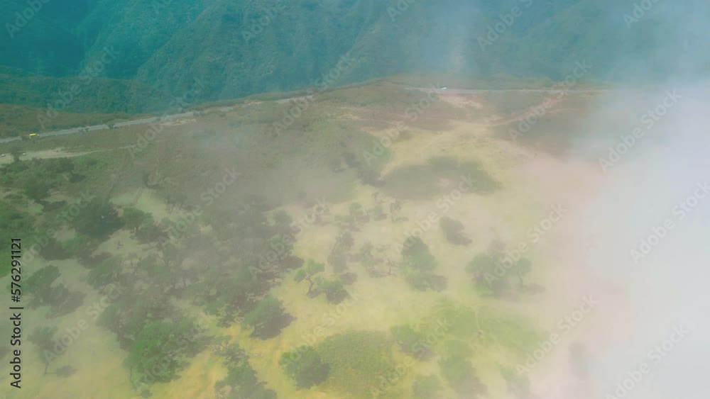 Madeira, Portugal. The magical Fanal Forest is part of the Laurisilva forest. Aerial view from drone with low clouds and trees
