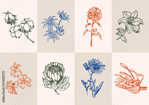 Abstract vector illustration set of botanical printable posters. Art for for postcards, wall art, banner, background.