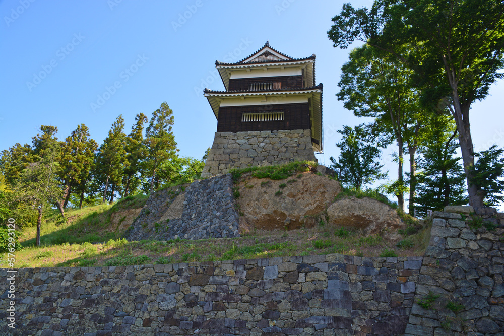 Obraz premium 尼ヶ淵から見上げる上田城