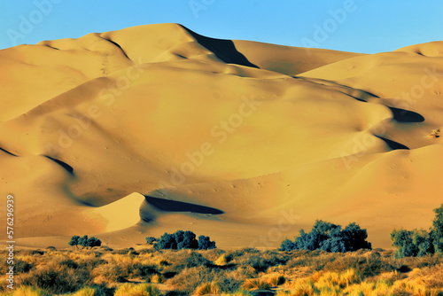 Fototapeta Naklejka Na Ścianę i Meble -  SAND DUNES AND DESERT LANDSCAPES IN ALGERIA