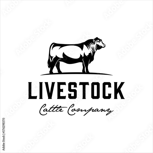 Black angus cow with masculine style design
