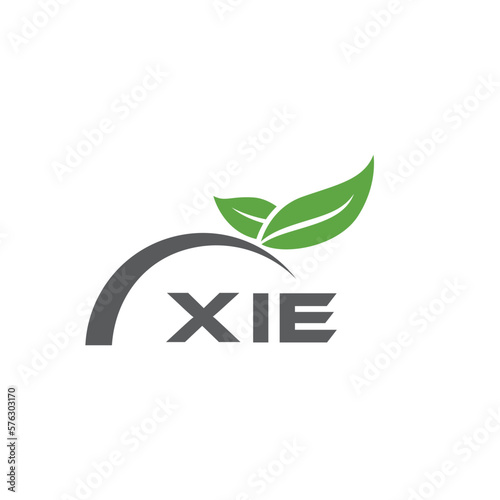 XIE letter nature logo design on white background. XIE creative initials letter leaf logo concept. XIE letter design. photo