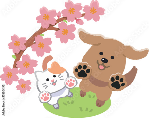 桜を見上げる犬と猫