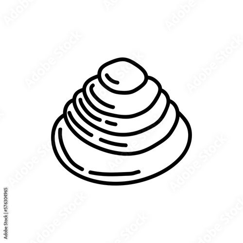 Seashells vector Hand drawn illustrations. mollusk sea shells line icon