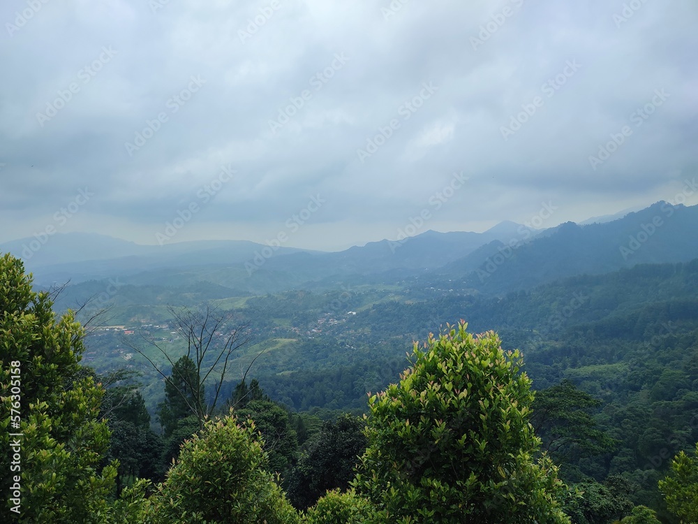 Fototapeta premium landscape photo of green hills.