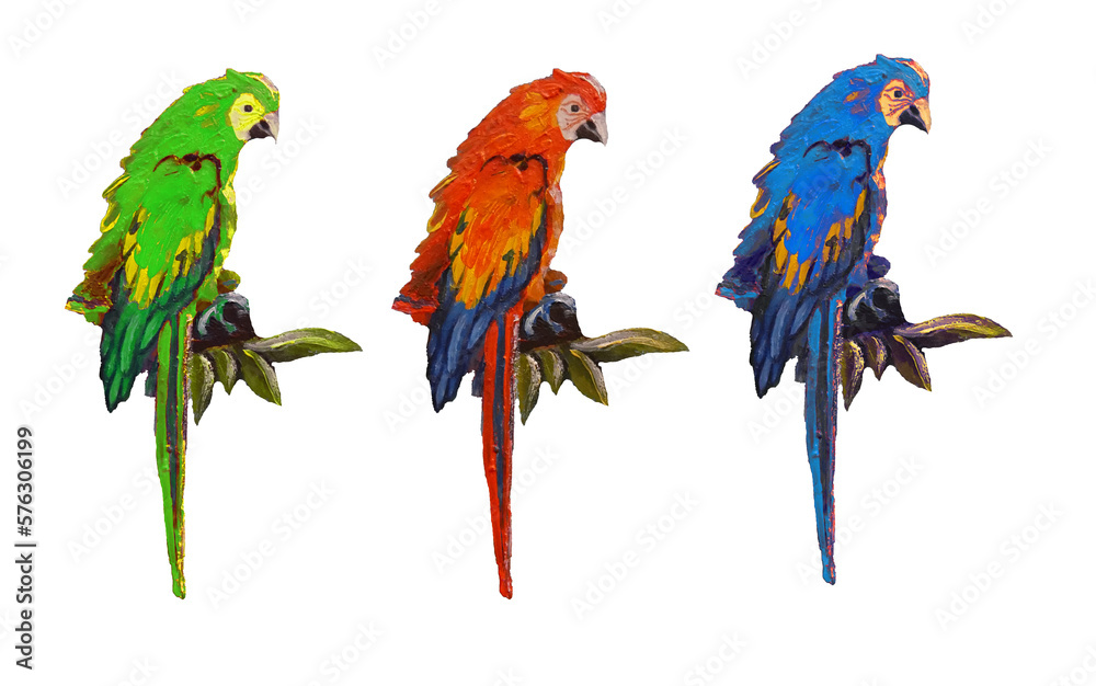 Fototapeta premium Colors parrot in the set on the branch