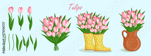 Spring bouquets with tulips and elements. Floral plants with bright flowers. Botanical vector illustration on isolated background for women's day, mother's day, easter and other holidays. #576306727