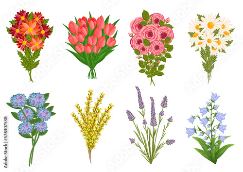 Blooming flowers set, plants with stems and leaves. Decorative floral design elements. Botanical vector illustration isolated on white background. Gift bouquets.