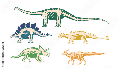 Set of Ancient Dinosaur Bones, Skeleton Fossils For Scientific Articles, History Books, And Materials about Discovery