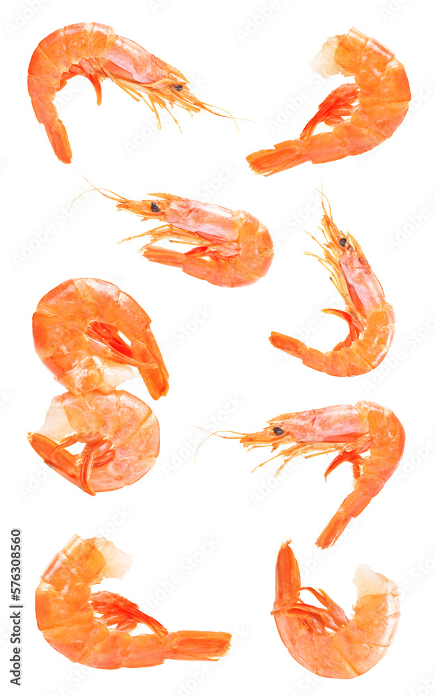 Shrimps isolated on white Shrimps isolated on white