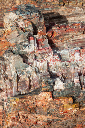 Beautiful, Colorful Petrified Logs at Petrified Forest National Park
