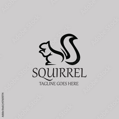 Squirrel logo design template. Vector illustration