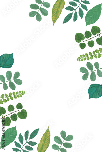 青葉のフレーム背景