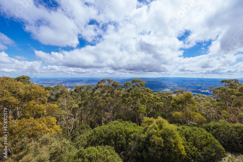 Summer Landscape at Mt St Leonard in Australia