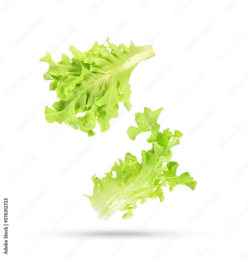 Fresh salad green lettuce leaves falling in the air isolated on transparent background. PNG - obrazy, fototapety, plakaty 