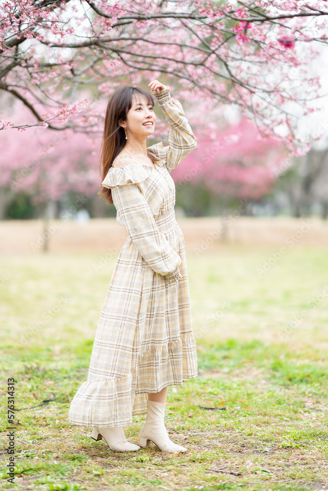 美しい日本女性 美しい日本女性