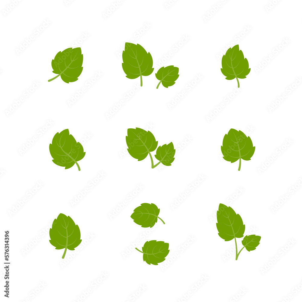 Set of green leaves. Leaves isolated on white background. Flat style. Vector illustration. Set of green leaves. Leaves isolated on white background. Flat style. Vector illustration.